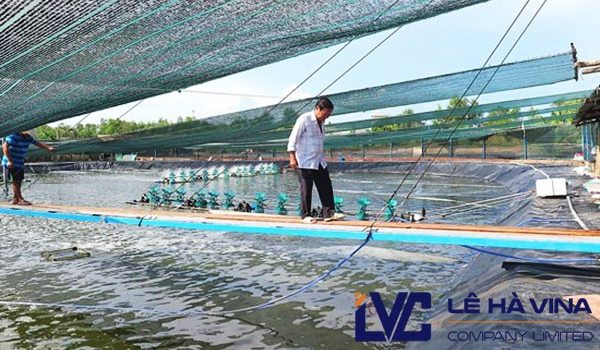 Lưới che nắng, Hướng dẫn cách lắp đặt lưới, Công ty Lê Hà Vina, Lưới Thái Lan