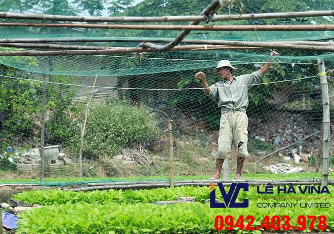 Lưới chống côn trùng, Lưới che chắn côn trùng, Lưới nhựa chắn côn trùng, Lưới lan, Lưới chống côn trùng trong nông nghiệp