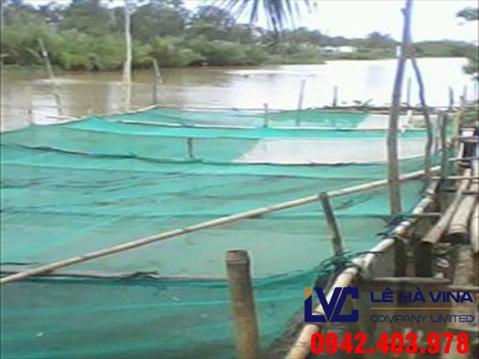 Lưới nuôi cá giống, Lê Hà Vina, Lưới, Lưới nhựa, Lưới nuôi cá của Lê Hà, Công ty Lê Hà Vina