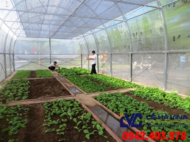 Lưới che nắng trồng rau, Lê Hà Vina, Lưới che nắng, Lưới che nắng Thái Lan, Công ty Lê Hà Vina