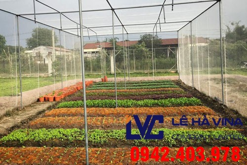 mua lưới trồng rau ở đâu, Lưới trồng rau, Mua lưới trồng rau, Lê Hà Vina, Bán lưới trồng rau sạch