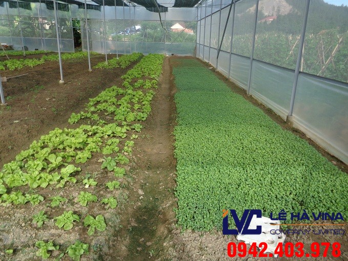 Mua lưới trồng rau, Lưới trồng rau, Công ty Lê Hà Vina, Bán lưới trồng rau sạch, Lưới chắn côn trùng, Lưới chống nắng vườn ươm
