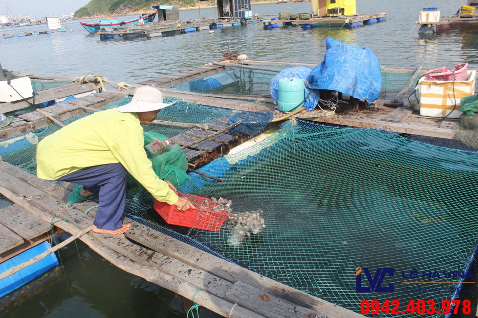 Lưới nuôi trồng thủy sản, Lưới nhựa, Công ty Lê Hà Vina, Lưới, Lưới nuôi trồng