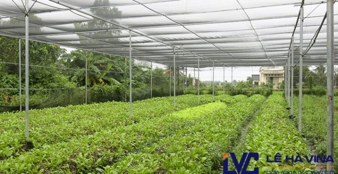 Lưới che nắng vườn ươm, Công ty Lê Hà Vina, Lưới, Lưới Thái Lan, Lưới che nắng mưa