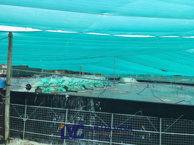 Lưới che nắng, Dây cáp cho đầm nuôi tôm, lưới che nắng Đài Loan, Lưới che nắng Thái Lan, cáp lụa mạ kẽm nhúng nóng 4mm