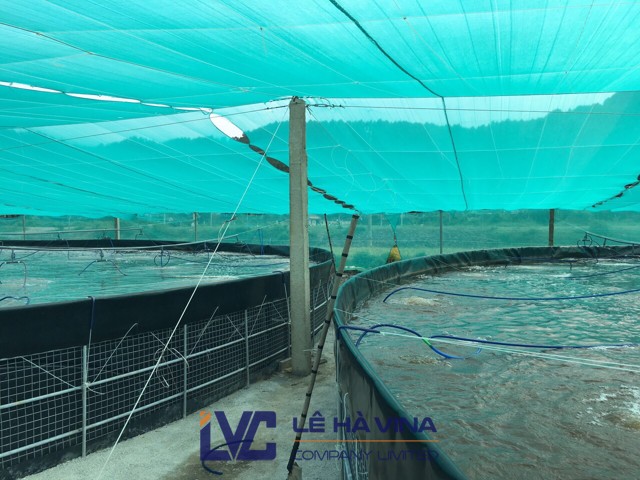 Lưới che nắng, Dây cáp cho đầm nuôi tôm, lưới che nắng Đài Loan, Lưới che nắng Thái Lan, cáp lụa mạ kẽm nhúng nóng 4mm