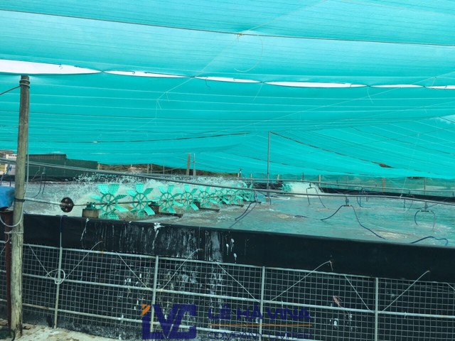Dây cáp cho đầm nuôi tôm, cáp lụa mạ kẽm nhúng nóng 4mm, Lưới che nắng của Lê Hà Vina, Lưới che nắng, Lưới che nắng Thái Lan