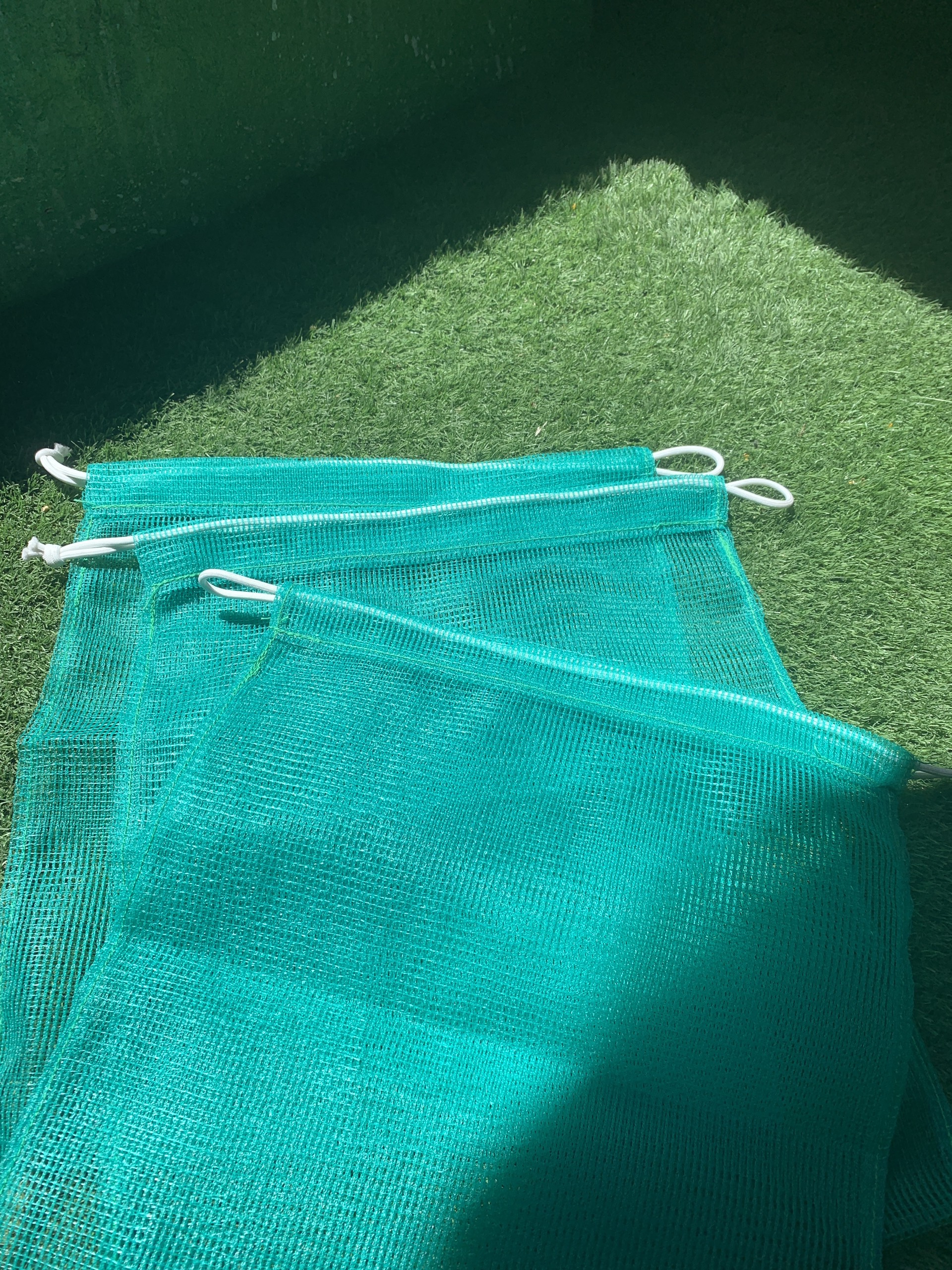 z5528121666477_da3820a7954cc46db855c1031ed86c9c